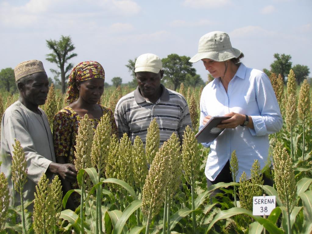 Participatory crop research