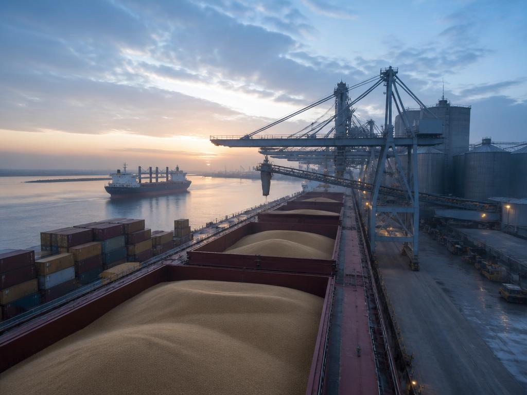 UK and India agricultural trade